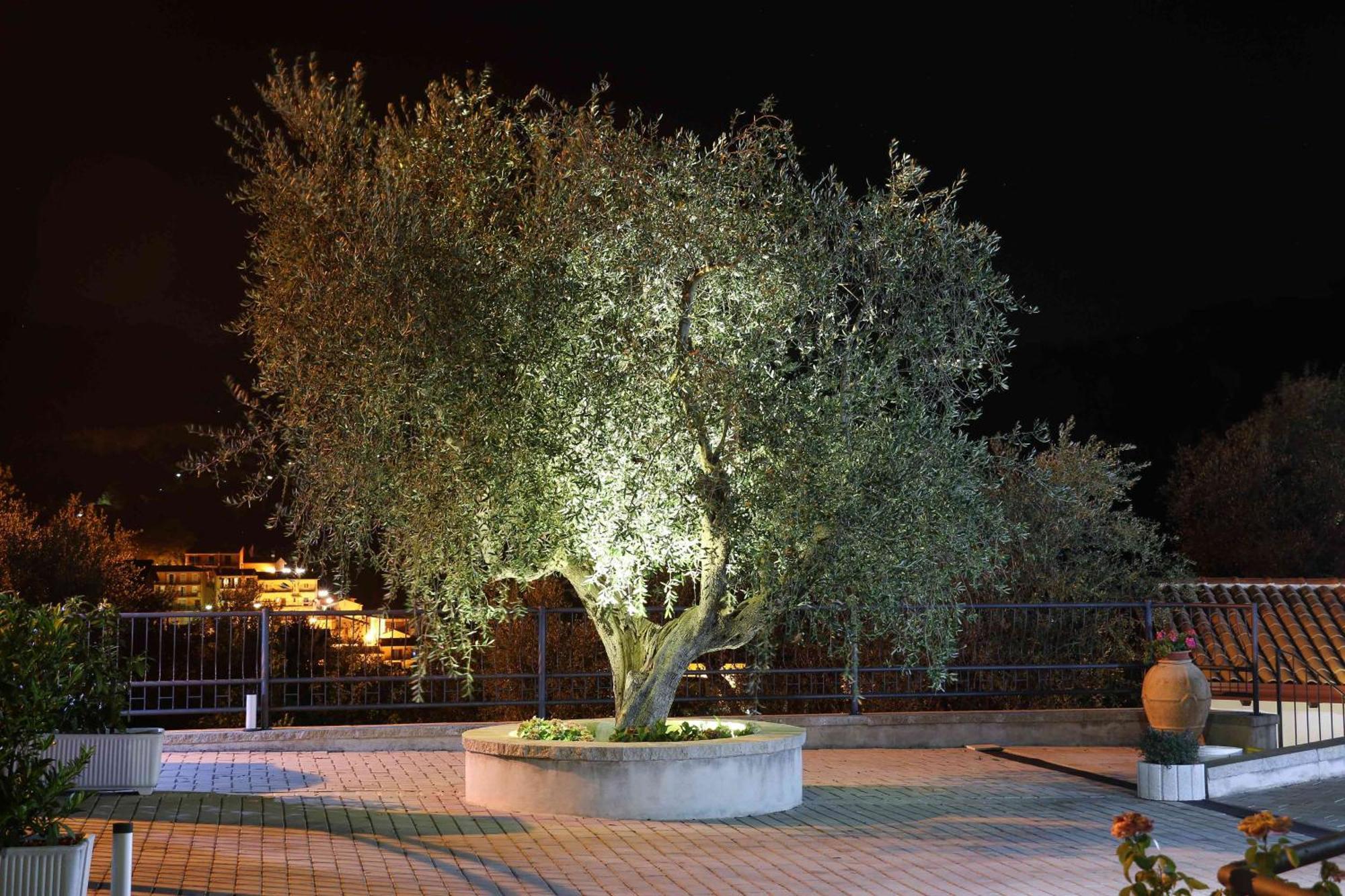 דירות Caposele Casa Elisabetta Shortlets חדר תמונה